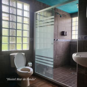 Iguana King Suite