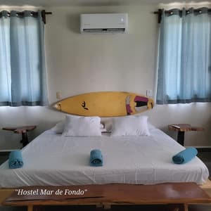 Iguana King Suite