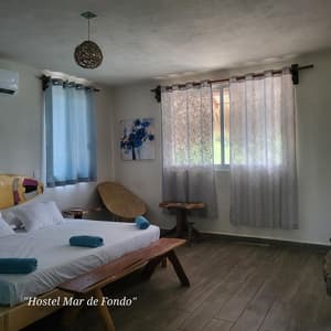 Iguana King Suite