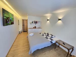 T1 Bamboo apartment