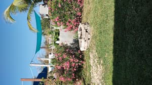 Salt Life Cabana #3