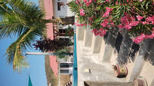 Salt Life Cabana #3