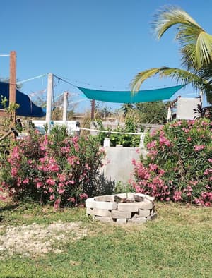 Salt Life Cabana #2
