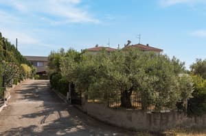 Villa Elaida, Nea Moudania