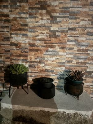 Casa do Lince