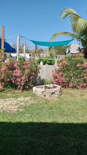 Salt Life Cabana #1