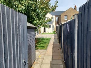 The Maple 1