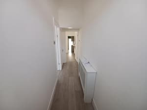 The Maple 2