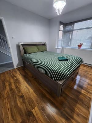 The Walnut 1