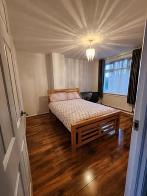 The Walnut 3