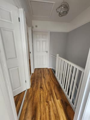 The Walnut 3