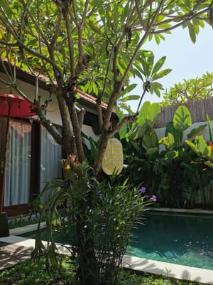 #4 Private 2BR Villa with Pool, Garden & Modern Comforts in Bali Umalas Canggu