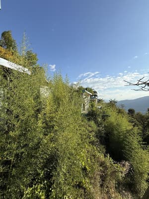 Villa Cielo de Estrellas