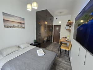 S3 Studio with balcony Klaipeda