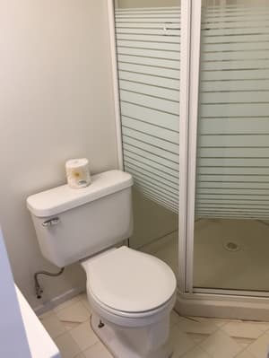 WhiteTail Suite