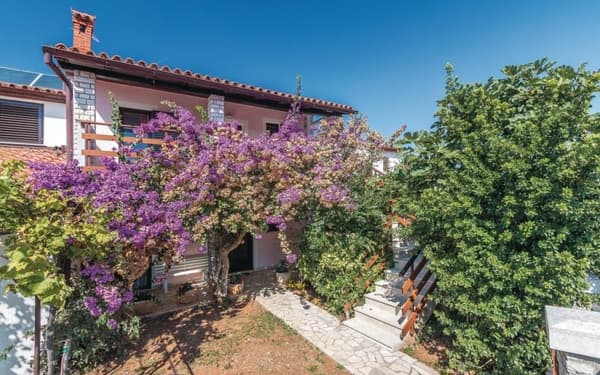 House Ivica