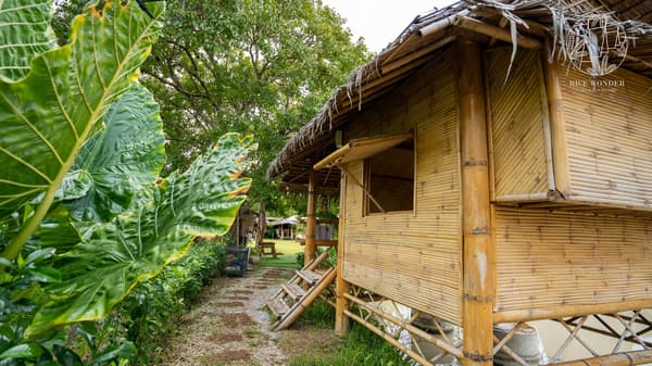 [B3] Bamboo Hut With Shared Bathroom