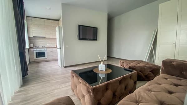 Apartamentai prie Malūno parko (Studija)