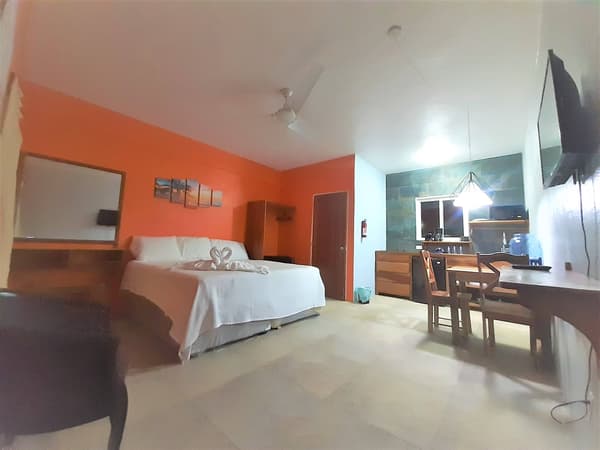 Studio Suite (202)