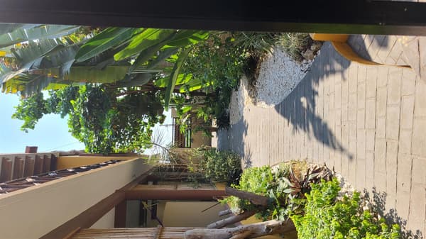 Studio Apartment #4 cerca Playa Zicatela