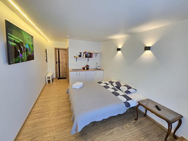 T1 Bamboo apartment