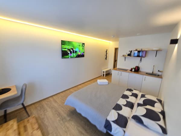 T1 Bamboo apartment