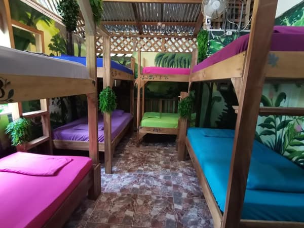 9-Bed Dorm