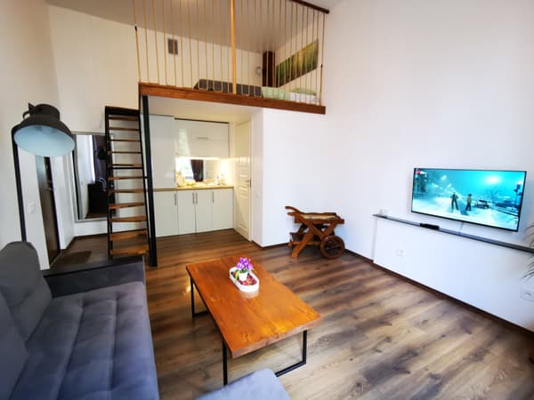 Z6 Loft Apartment