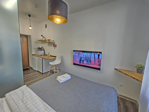 S10 Urban studio apartment