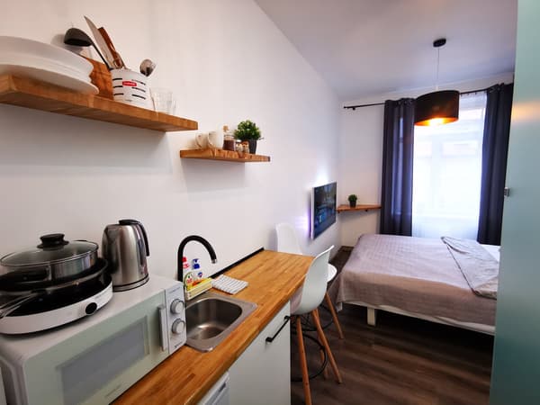 S10 Urban studio apartment