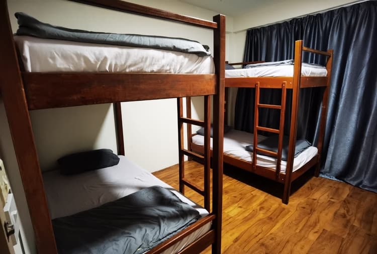Bunk Bed in a Shared Dormitory Room