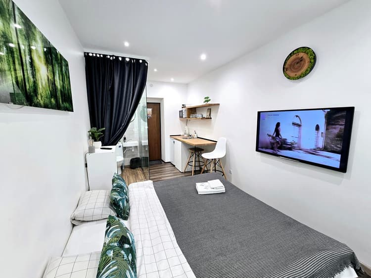 S11 Lime studio apartment