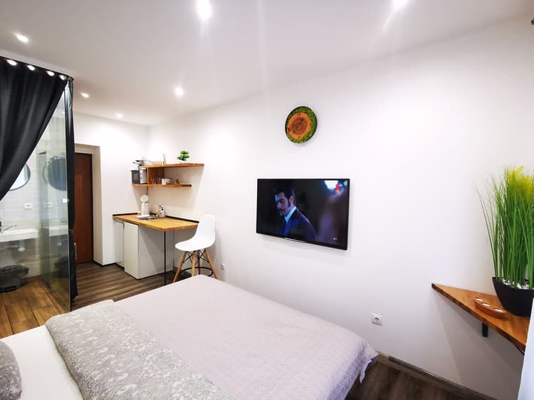 S11 Lime studio apartment