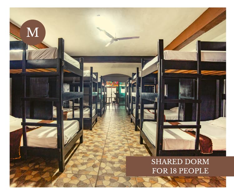 Shared Dorm Man