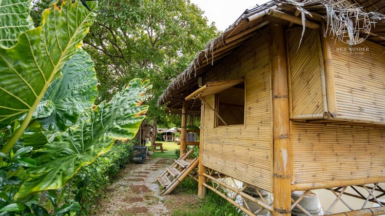 [B1] Bamboo Hut With Shared Bathroom