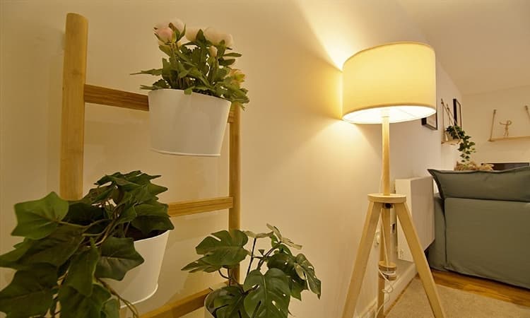 Bridgewater One, "for a boutique stay by the sea"