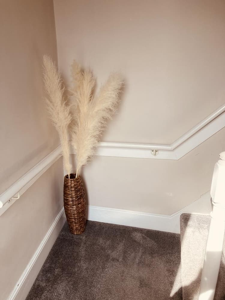 Bloomfield Ten, "for a heart of the city stay"