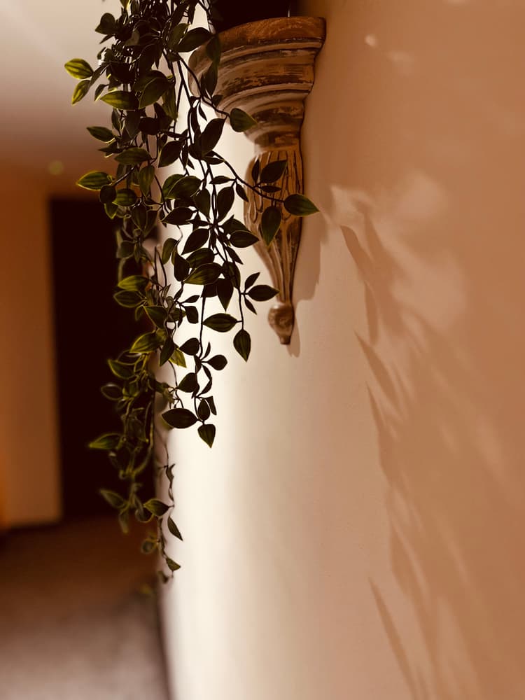 Woodbury Two-5, 'for an industrial haven in the city'