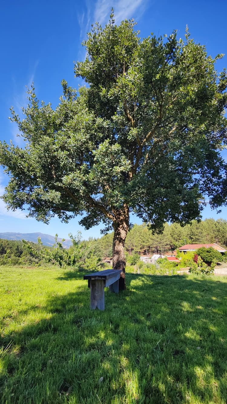 The Cabin II at Casa Florestal