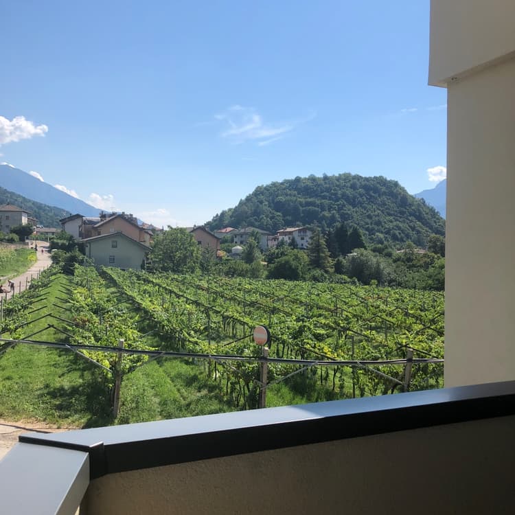 App6 · Povo - Affitto per intero mese Trento