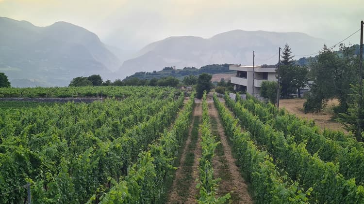 App2 · Agritur La Tenuta - Appartamenti Trento