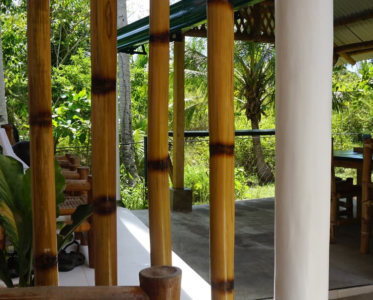 Eco-friendly Garden View Room