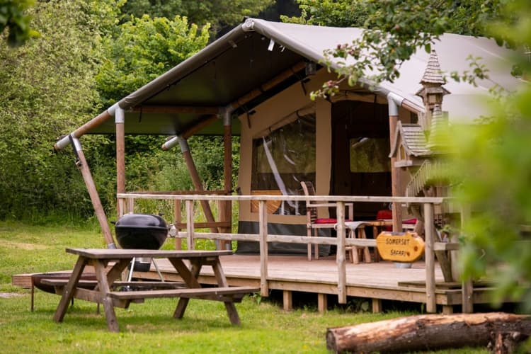 Somerset Safari Somerset