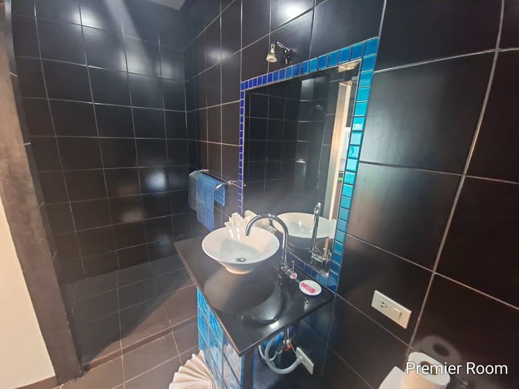 Premiere Room - with terrace and Spa Bath