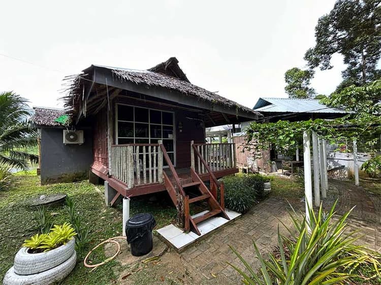 Chalet Gandul Open Concept Wooden Chalet