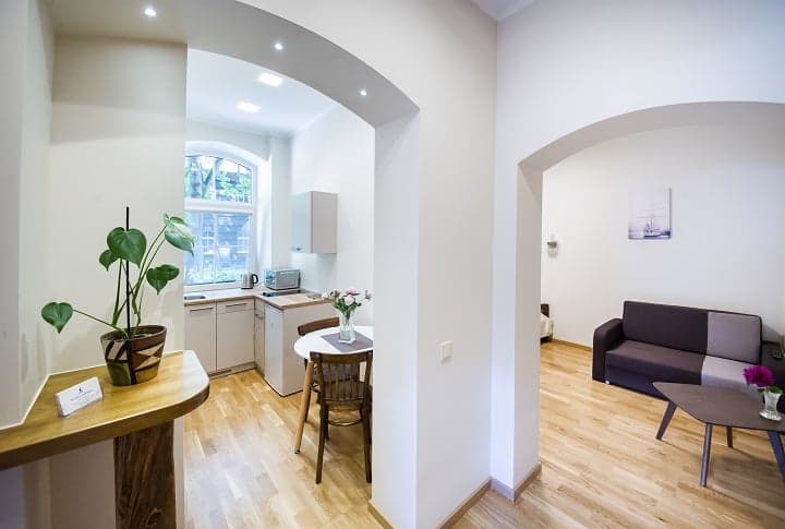 Vieno kambario apartamentai (dvivietis apartamentas max 3 asmenims)
