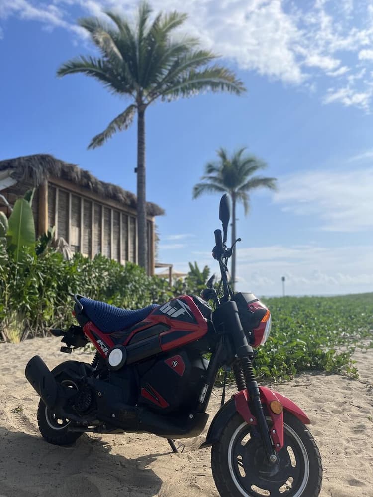 Premium Scooter Rental 1 Day (WSPORT GRIS A )