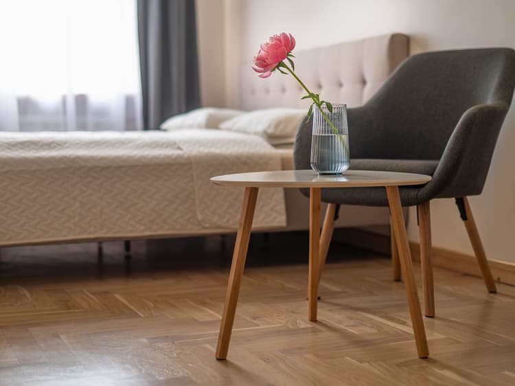 Vieno kambario apartamentai  su vaizdu į kiemą (maks.2 asm.)