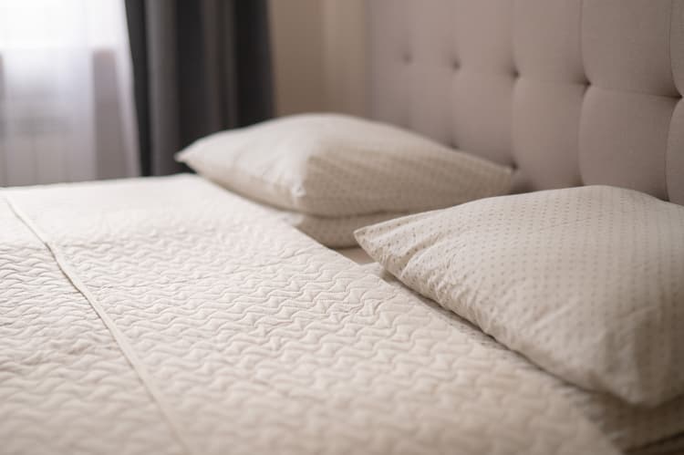 Vieno kambario apartamentai  su vaizdu į kiemą (maks.2 asm.)