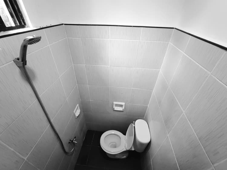 Eco-Friendly Patio View